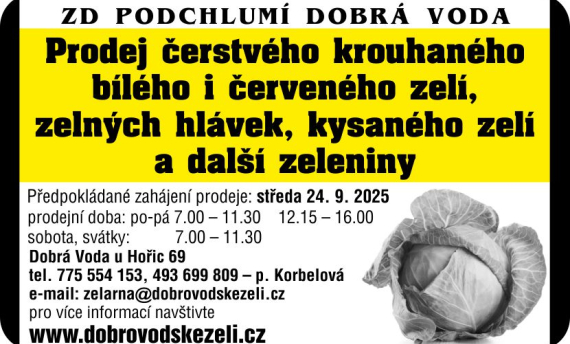 Prodej krouhaného zelí Prodej krouhaného zelí