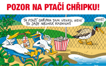 Pozor na ptačí chřipku!