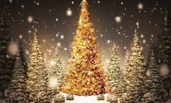 Rozsvícení vánoční stromu