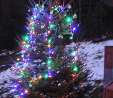 Rozsvícení vánočního stromu 2013