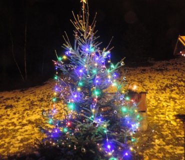 Rozsvícení vánočního stromu 2013