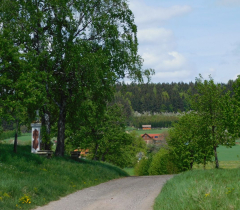 Fotografie obce