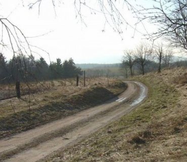 Růžovka