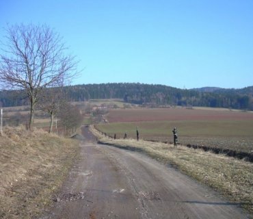 Růžovka