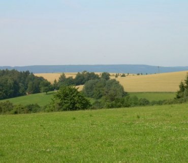 Růžovka