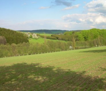 Růžovka