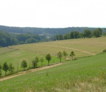 Růžovka
