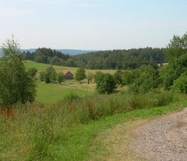 Růžovka