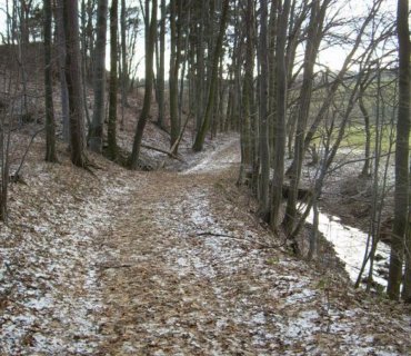 Šušpárek