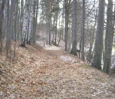 Šušpárek
