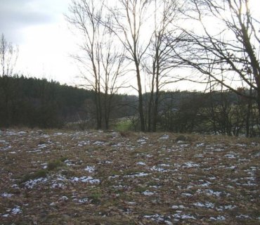 Šušpárek