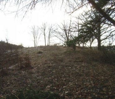 Šušpárek