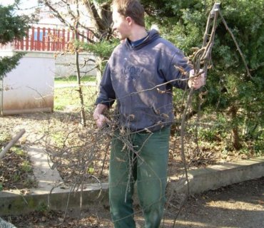 Jarní brigáda