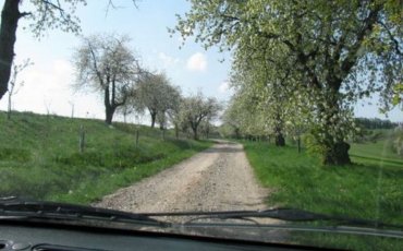 Růžovka