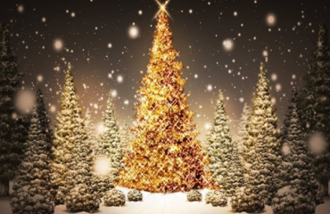 Rozsvícení vánoční stromu